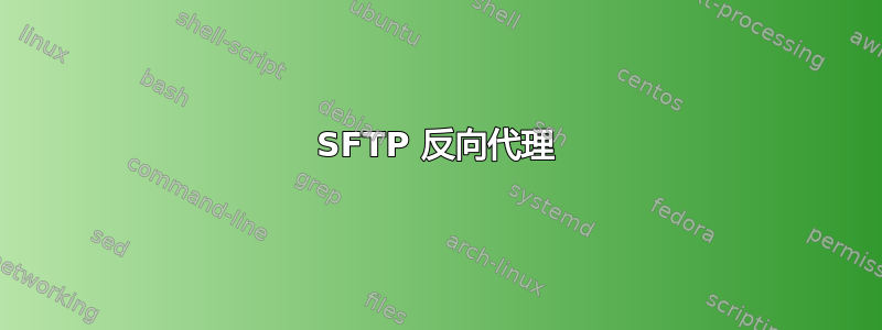 SFTP 反向代理