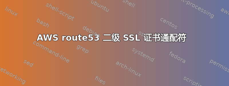 AWS route53 二级 SSL 证书通配符 