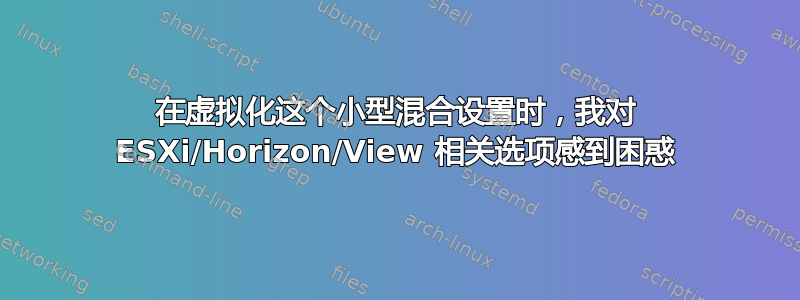 在虚拟化这个小型混合设置时，我对 ESXi/Horizo​​n/View 相关选项感到困惑