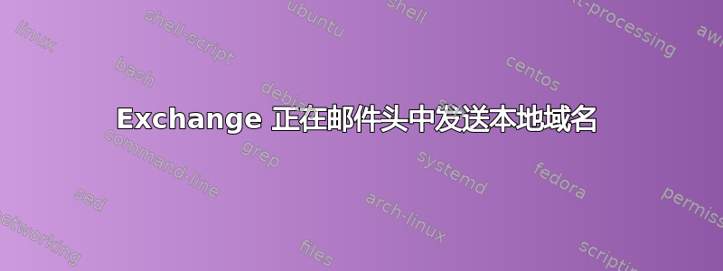 Exchange 正在邮件头中发送本地域名