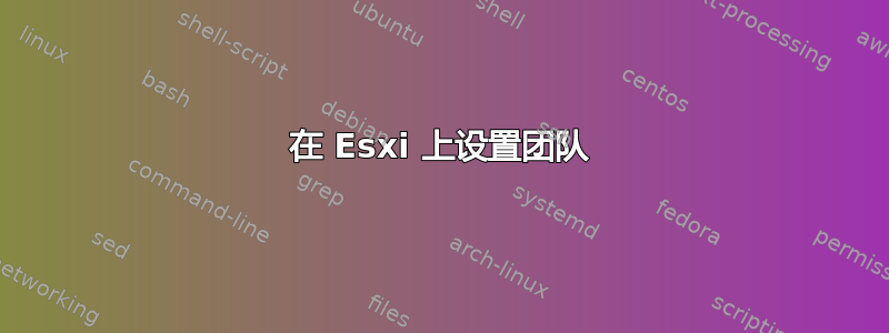 在 Esxi 上设置团队