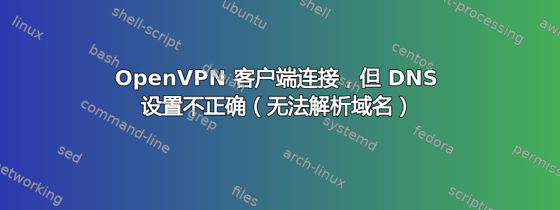 OpenVPN 客户端连接，但 DNS 设置不正确（无法解析域名）