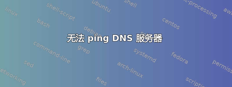 无法 ping DNS 服务器