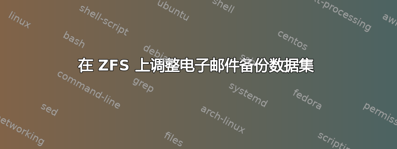 在 ZFS 上调整电子邮件备份数据集