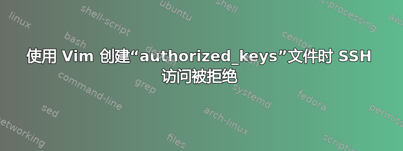 使用 Vim 创建“authorized_keys”文件时 SSH 访问被拒绝