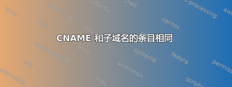 CNAME 和子域名的条目相同