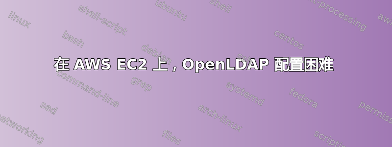 在 AWS EC2 上，OpenLDAP 配置困难