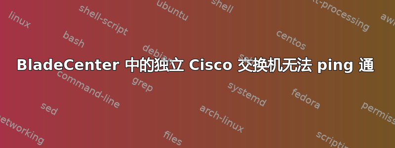 BladeCenter 中的独立 Cisco 交换机无法 ping 通