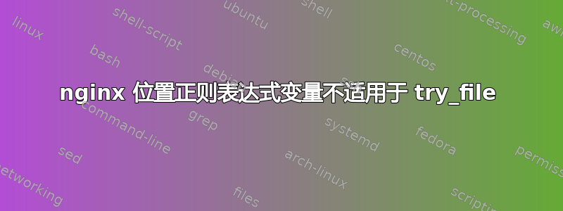 nginx 位置正则表达式变量不适用于 try_file