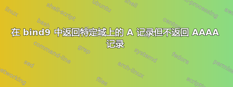 在 bind9 中返回特定域上的 A 记录但不返回 AAAA 记录