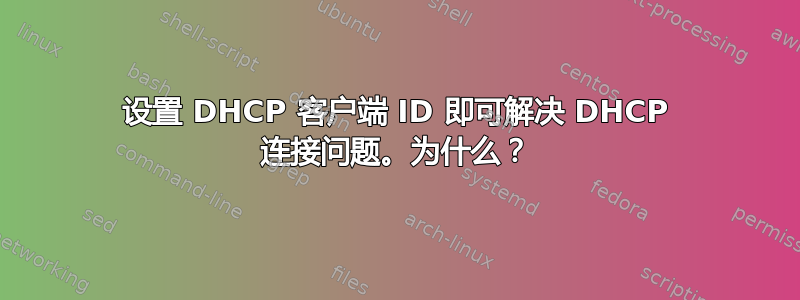 设置 DHCP 客户端 ID 即可解决 DHCP 连接问题。为什么？