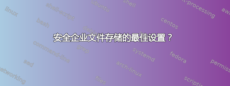 安全企业文件存储的最佳设置？