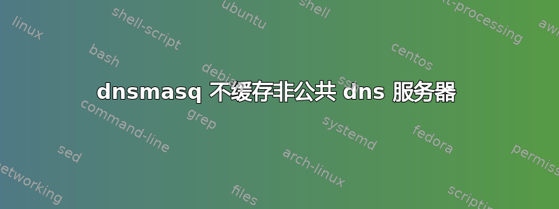 dnsmasq 不缓存非公共 dns 服务器