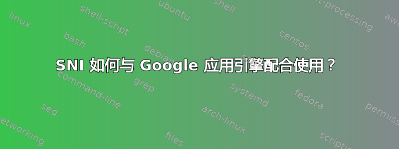 SNI 如何与 Google 应用引擎配合使用？