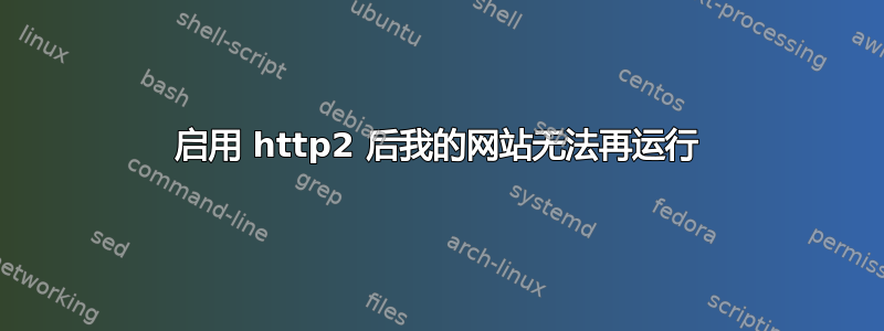 启用 http2 后我的网站无法再运行