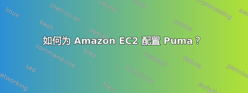 如何为 Amazon EC2 配置 Puma？