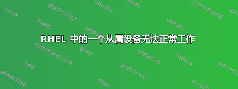 RHEL 中的一个从属设备无法正常工作