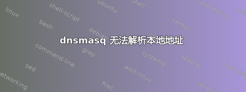 dnsmasq 无法解析本地地址