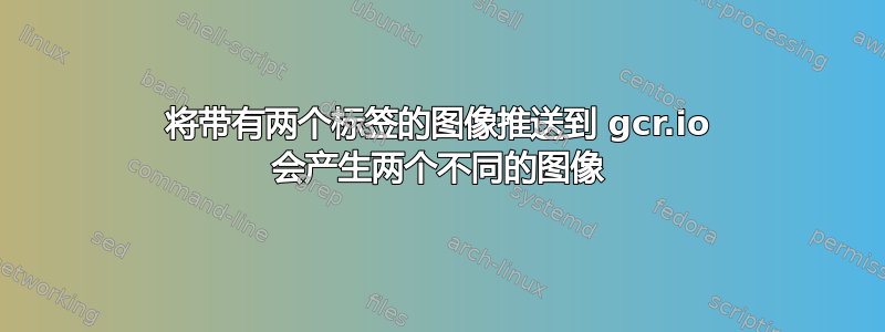 将带有两个标签的图像推送到 gcr.io 会产生两个不同的图像