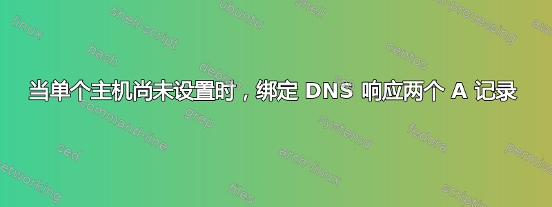 当单个主机尚未设置时，绑定 DNS 响应两个 A 记录