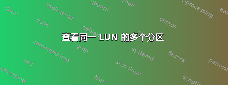 查看同一 LUN 的多个分区