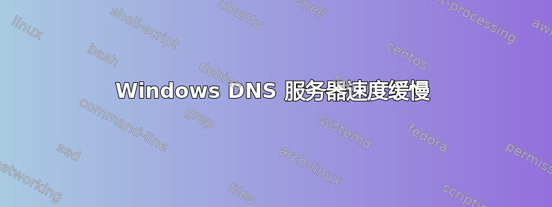 Windows DNS 服务器速度缓慢