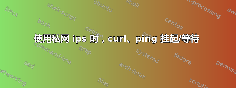 使用私网 ips 时，curl、ping 挂起/等待