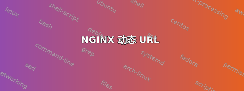 NGINX 动态 URL