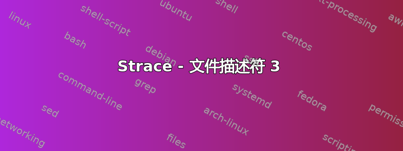 Strace - 文件描述符 3