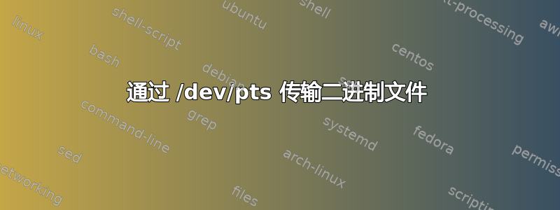 通过 /dev/pts 传输二进制文件