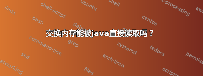 交换内存能被java直接读取吗？