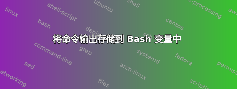 将命令输出存储到 Bash 变量中