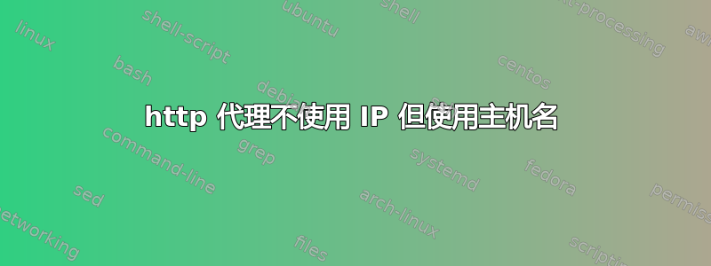 http 代理不使用 IP 但使用主机名