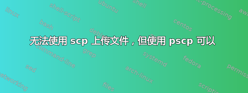 无法使用 scp 上传文件，但使用 pscp 可以