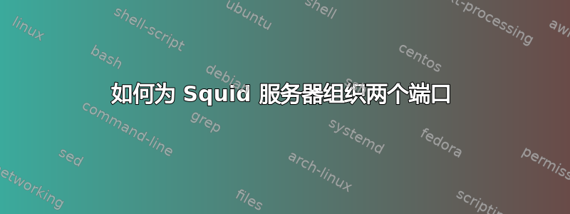 如何为 Squid 服务器组织两个端口