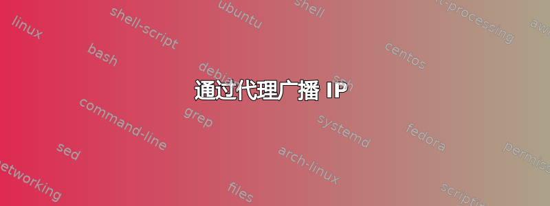 通过代理广播 IP