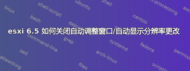 esxi 6.5 如何关闭自动调整窗口/自动显示分辨率更改