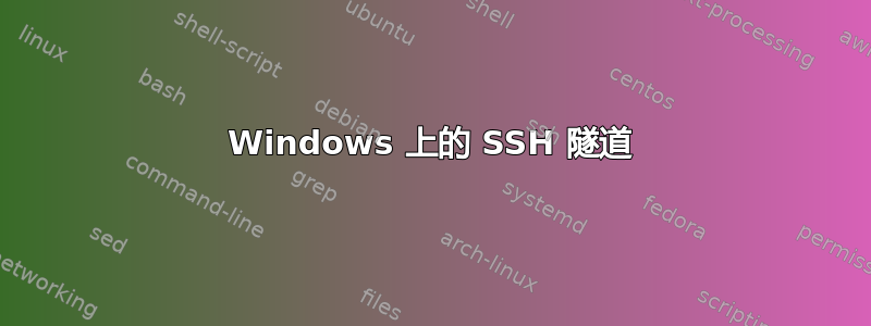 Windows 上的 SSH 隧道