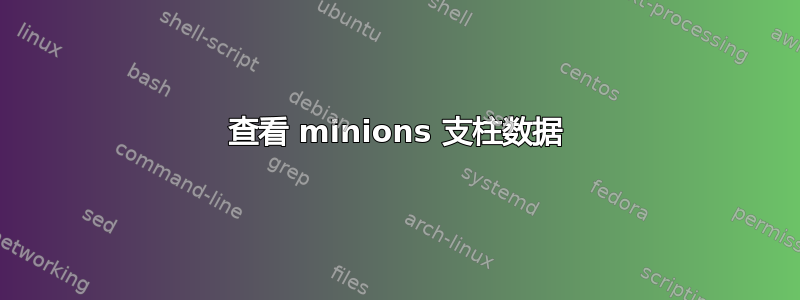 查看 minions 支柱数据