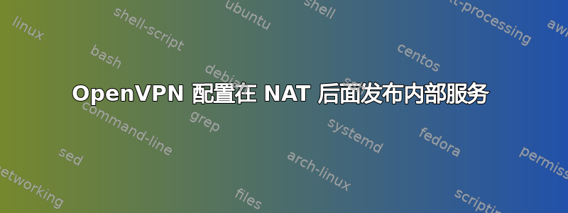 OpenVPN 配置在 NAT 后面发布内部服务