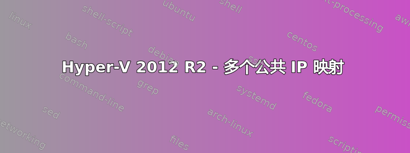 Hyper-V 2012 R2 - 多个公共 IP 映射