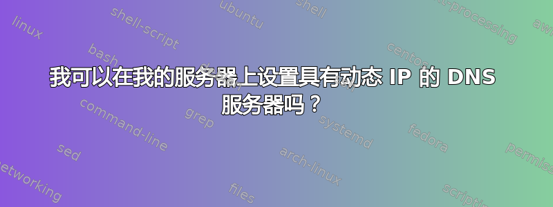 我可以在我的服务器上设置具有动态 IP 的 DNS 服务器吗？