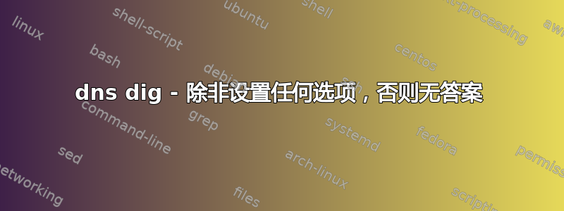 dns dig - 除非设置任何选项，否则无答案