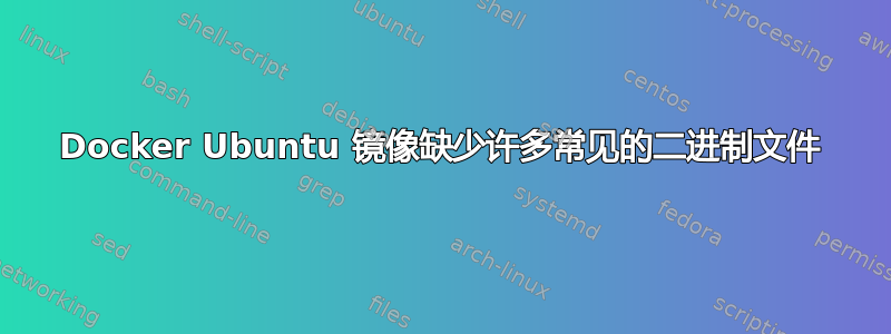 Docker Ubuntu 镜像缺少许多常见的二进制文件