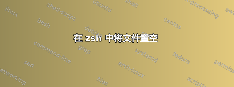 在 zsh 中将文件置空