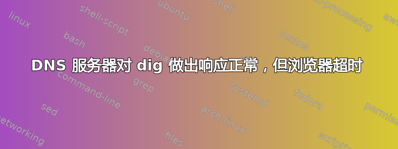 DNS 服务器对 dig 做出响应正常，但浏览器超时