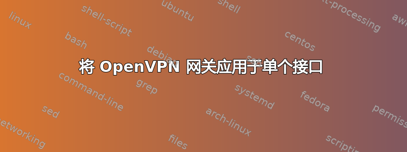 将 OpenVPN 网关应用于单个接口