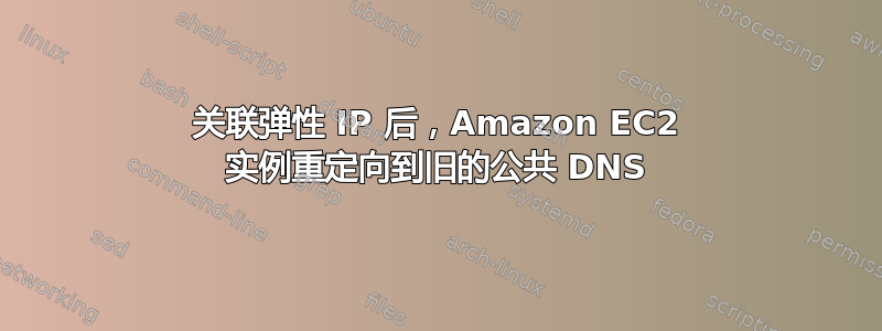 关联弹性 IP 后，Amazon EC2 实例重定向到旧的公共 DNS