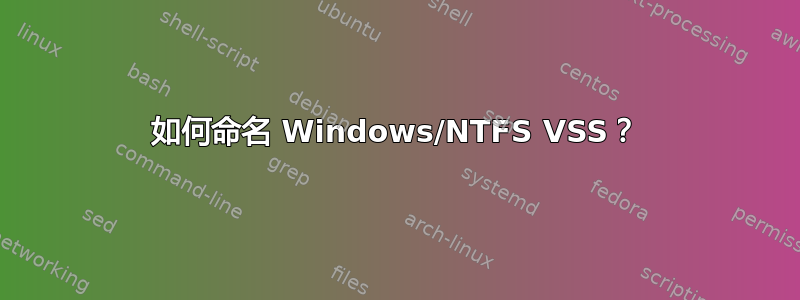 如何命名 Windows/NTFS VSS？