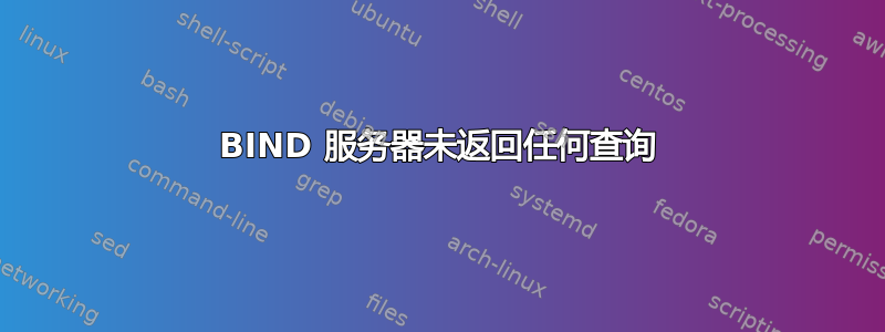 BIND 服务器未返回任何查询